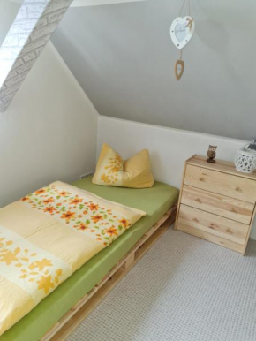Haus Steindöbra Klingenthal